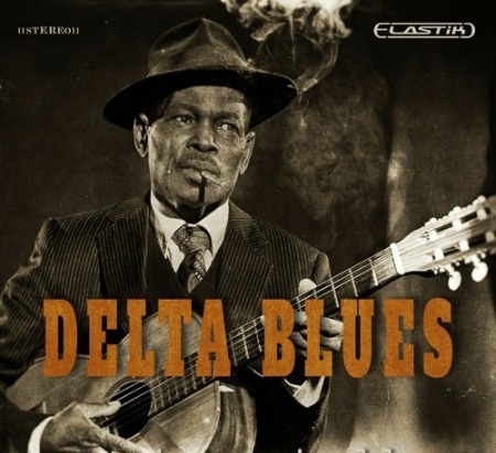 Ueberschall Delta Blues Elastik